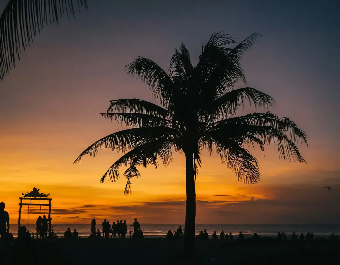 Palm silhouette at sunset on Seminyak beach