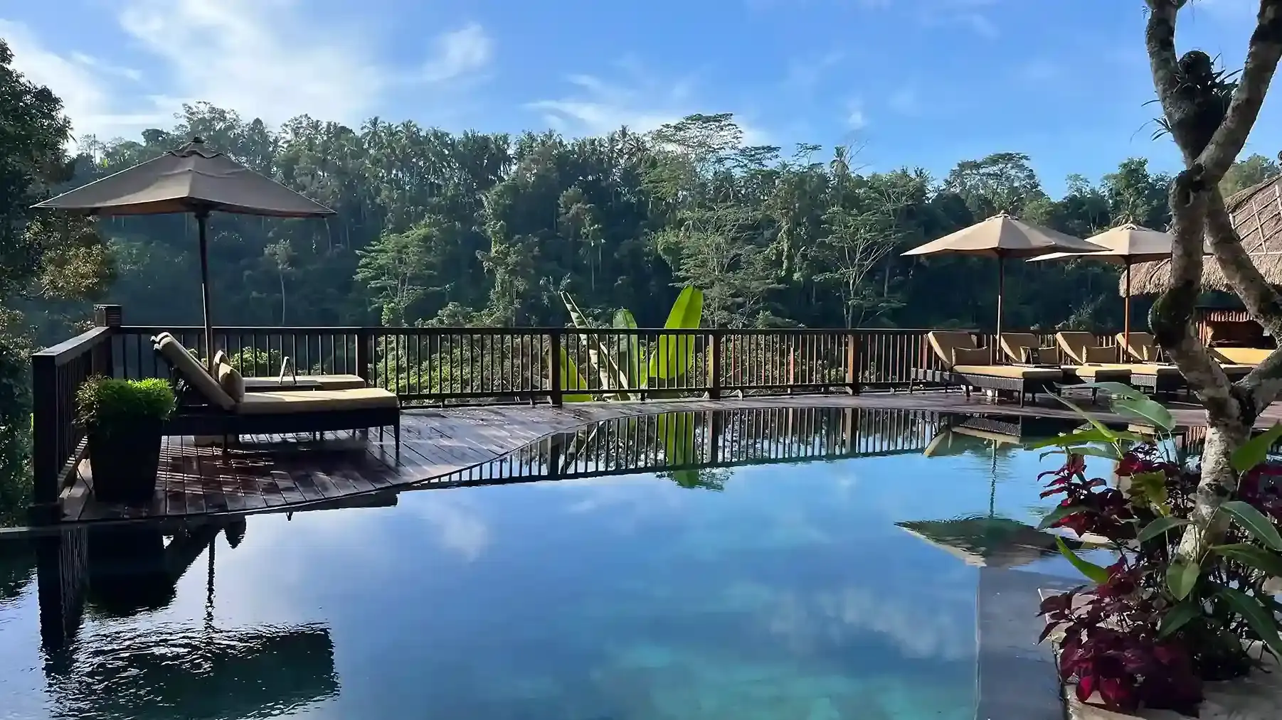 Infinity pool above the jungle at a private villa near Ubud