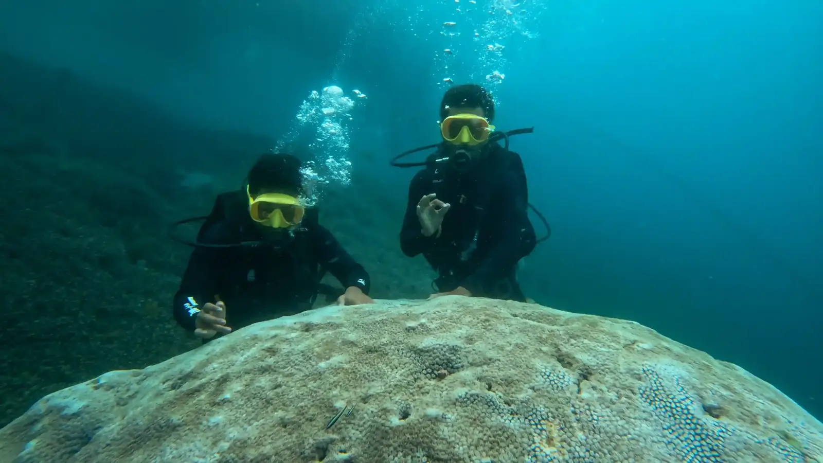 Two divers swimming over coral