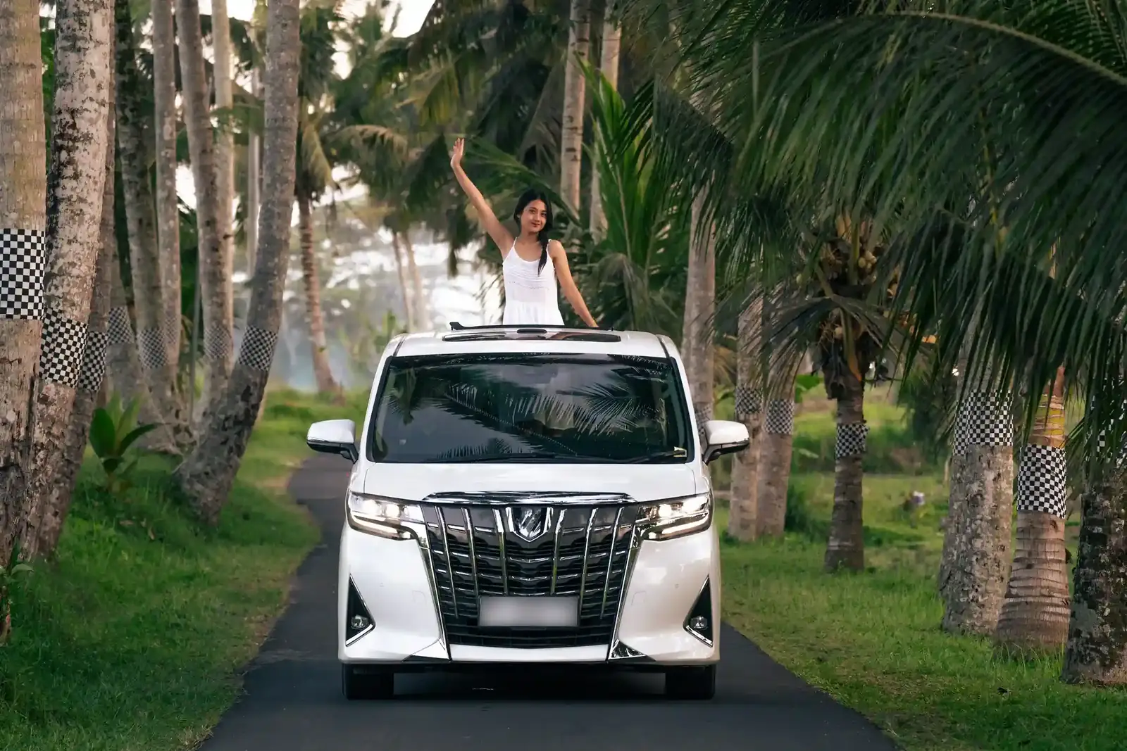 Guest beside a white Alphard on a palm-lined road