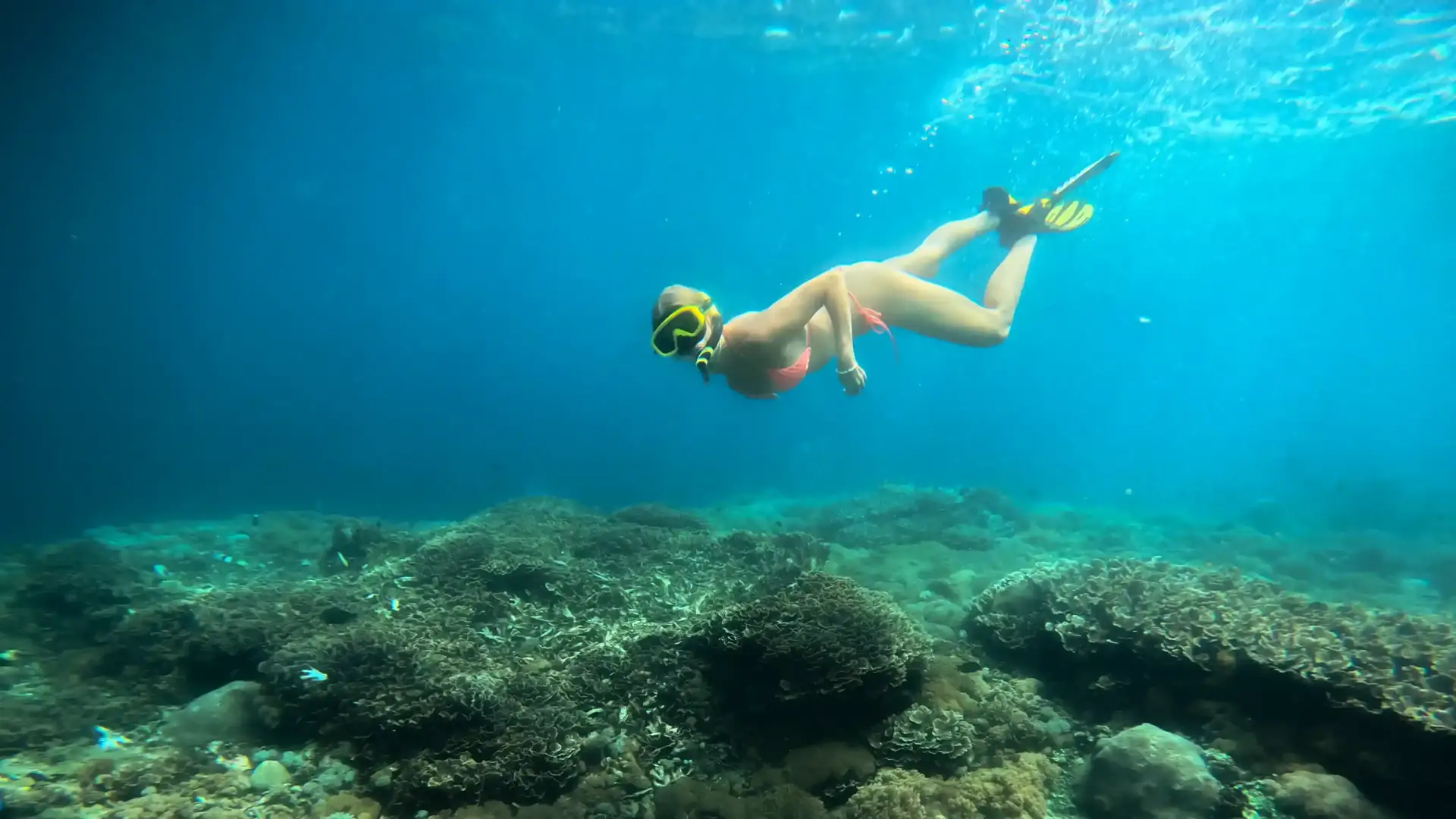 Snorkeller swimming over a coral reef